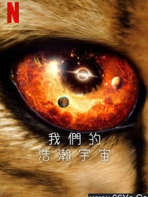 短剧作品